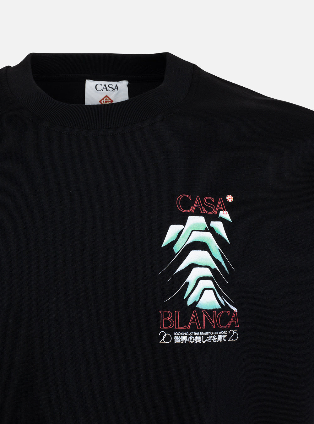 T-shirt Logo Frosty Mountain