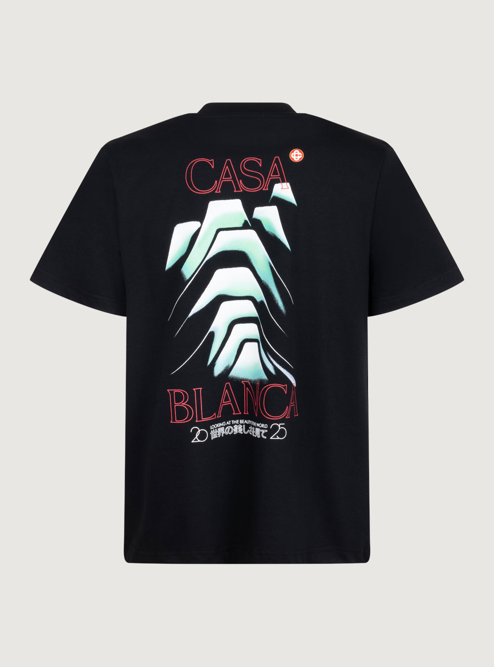 T-shirt Logo Frosty Mountain